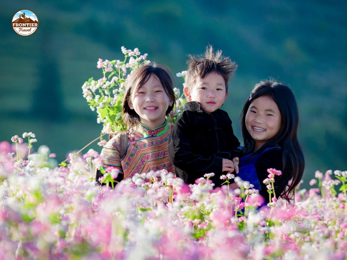 Riding the Ha Giang Loop in Buckwheat flower season